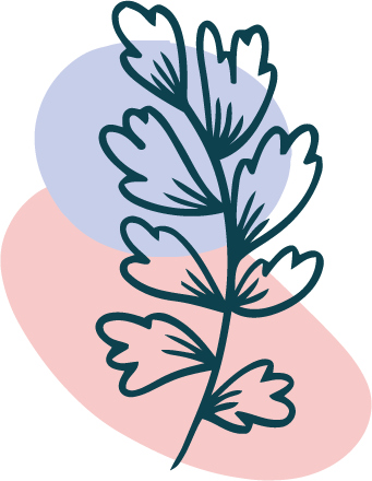 SC-Beaute-3
